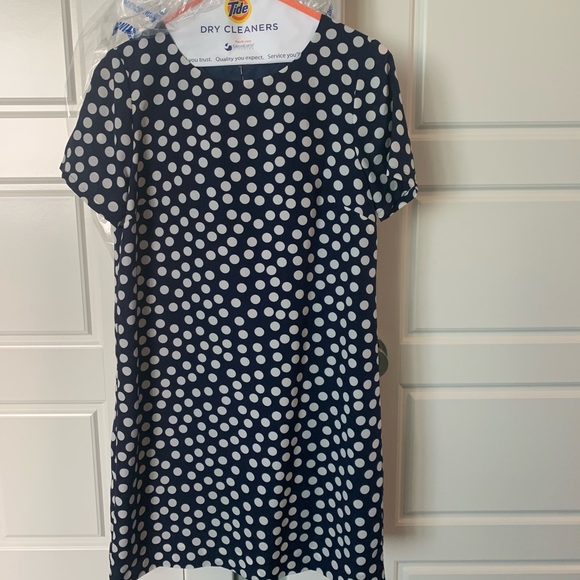 J Crew , Shift midi Dress Polka Dots ๐size 4 - Picture 5 of 7